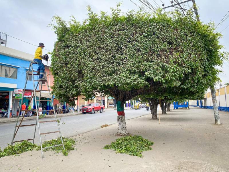 #AlcaldíaDeVinces